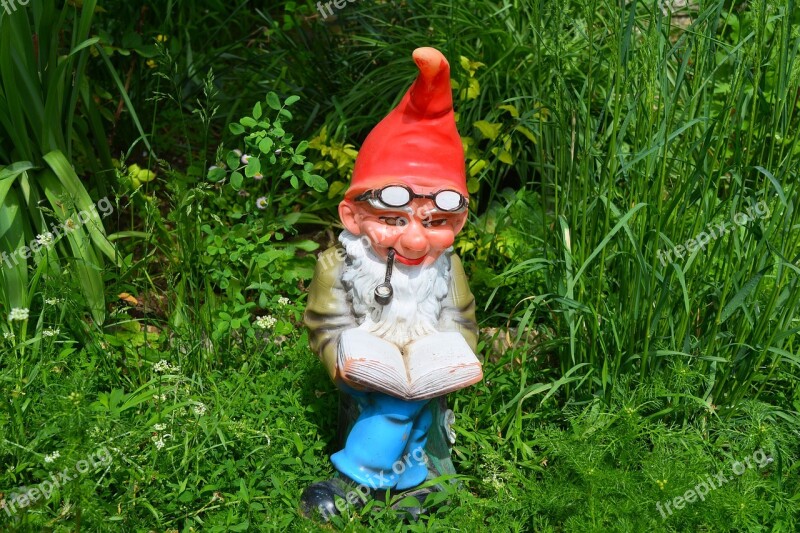 Dwarf Garden Dwarf Gnome Elf Read