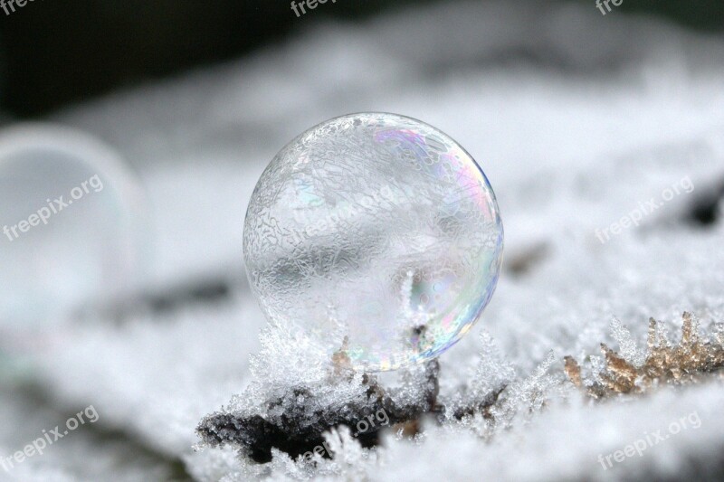 Soap Bubble Mirroring Colorful Frost Hoarfrost