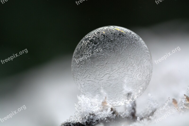 Soap Bubble Mirroring Colorful Frost Hoarfrost