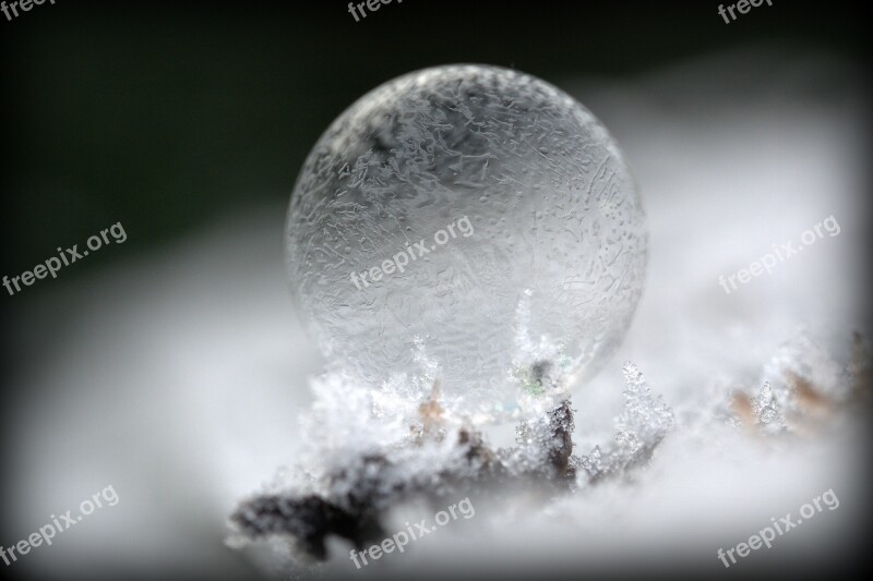 Soap Bubble Mirroring Colorful Frost Hoarfrost