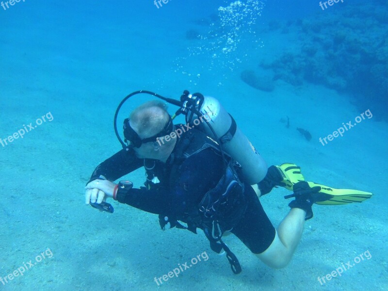 Diver The Red Sea Diving Snorkeling Coral Reef