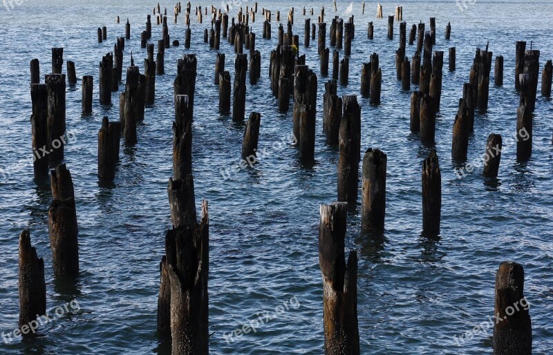 New York Docks City Nyc America