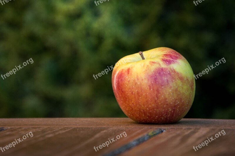 Apple Fruit Fall Table Still Lifes