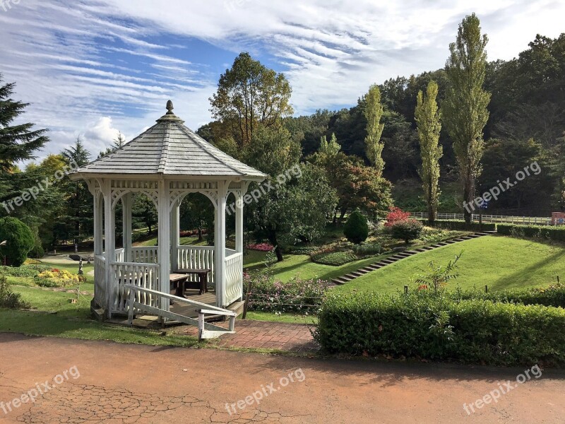 Garden Lawn Metasequoia Sky Early Autumn