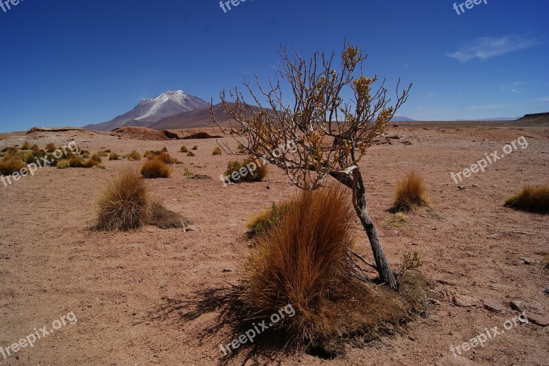 Desert Bolivia Landscape Backpacker Salar