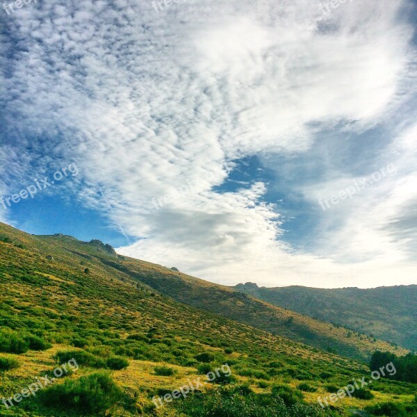 Mount Green Life Trees Landscape