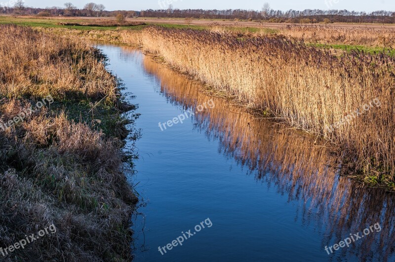 River Water Reed Landscape Autumn