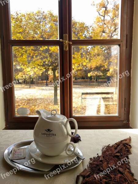 Tea Autumn Window Park The View From The Window