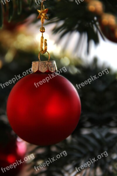 Christmas Bauble Christmas Tree Christmas Ornaments Christmas Decoration