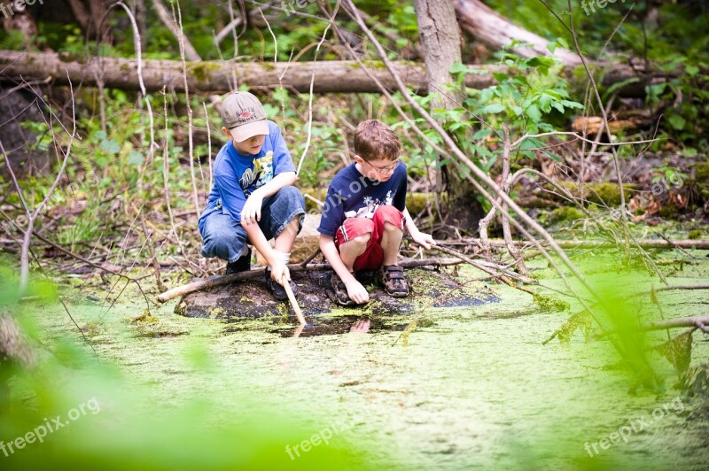 Water Stewardship Nature Children Swamp