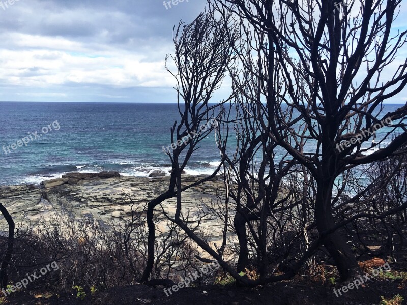 After Bush Fire Melbourne Australia Great Ocean Road Ocean View