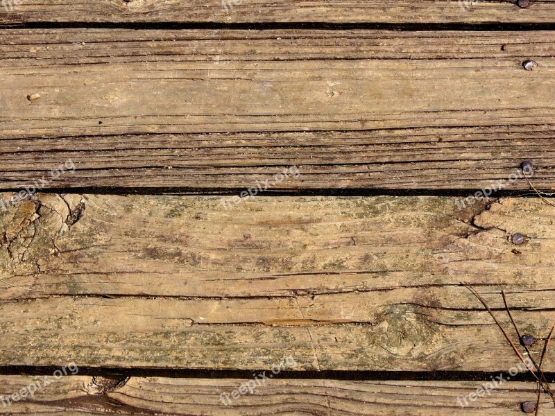 Texture Wood Dick Free Photos