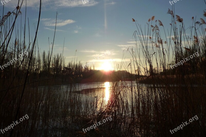 Sunset Reeds Lake Nature Tranquility