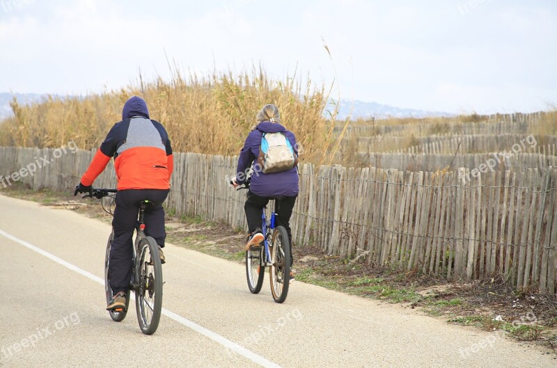 Cyclist Bike Person Promenade Landscape