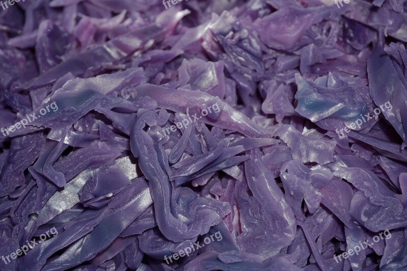 Red Cabbage Herb Raw Food Violet Healthy