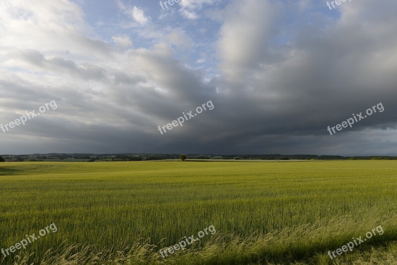 Nature Swedish Landscapes Weather Rainy