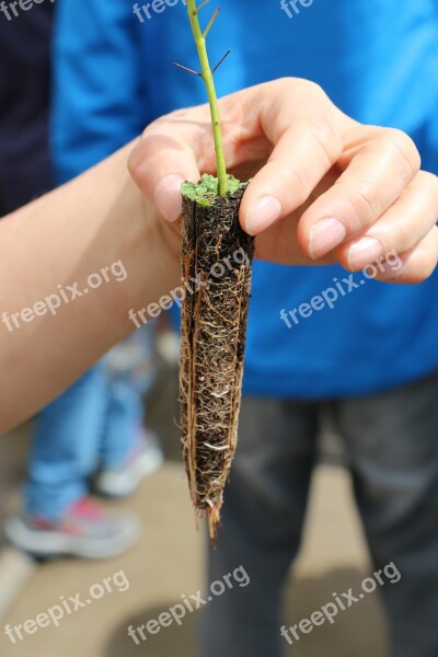 Green Hand Root Fingers Nails