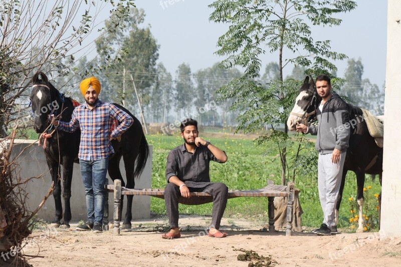 India Countryside Farm Horses Rural