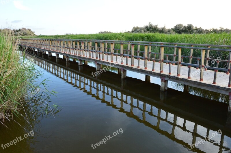 Tables Daimiel Water Royal City Spain Free Photos