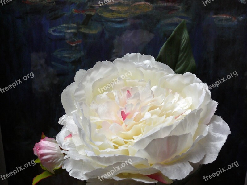 Artificial Flowers White Blossom Bloom Rose