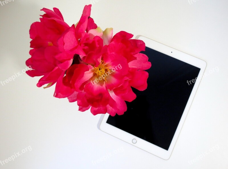 Flower Pink Tablet Pink Flowers Productivity