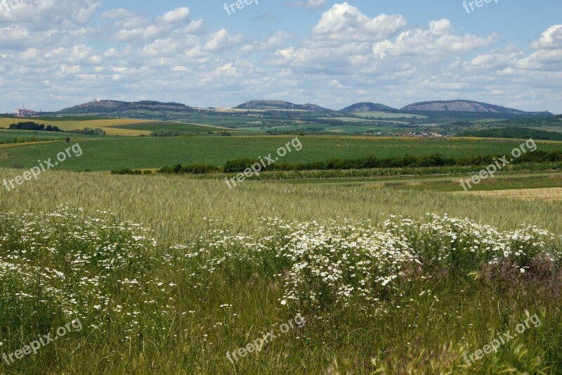 Pálava Mikulov Flowers Fields Country