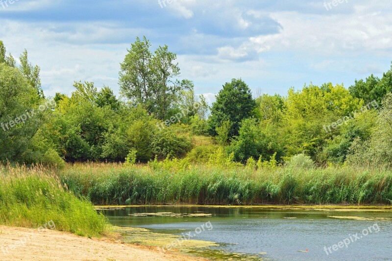 Landscape Trees Lake Waters Clouds