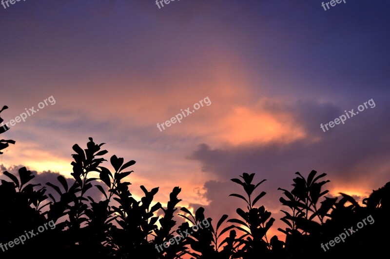 Sunset Clouds Contrast Sky Summer