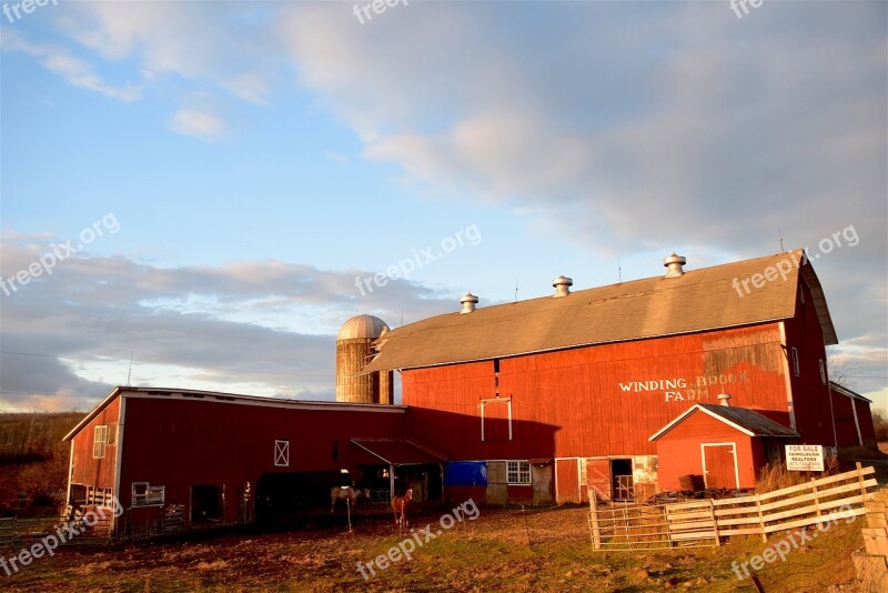 Bran Rural Farm Sunset Light