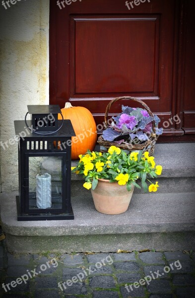 Veszprém Old Town Square Halloween Free Photos