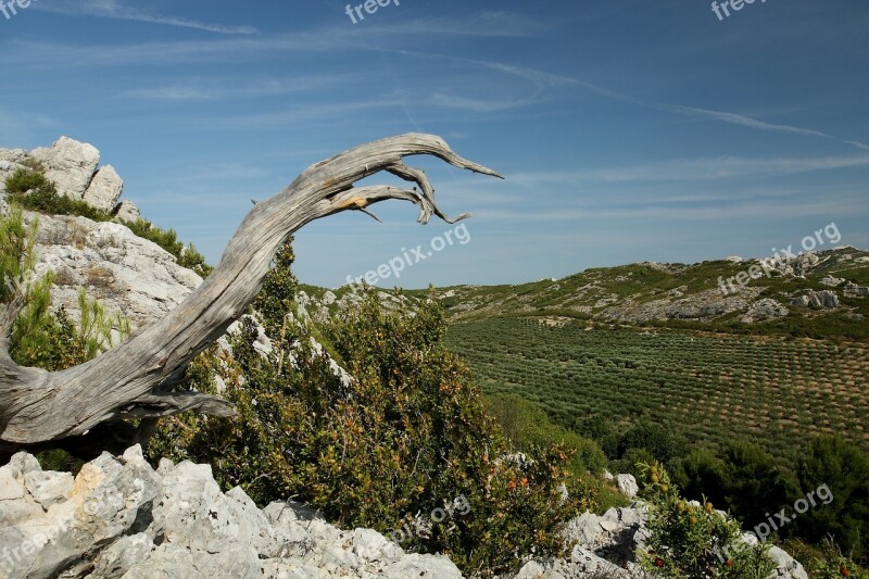 Provence Alpilles Valley Of The Fox Free Photos