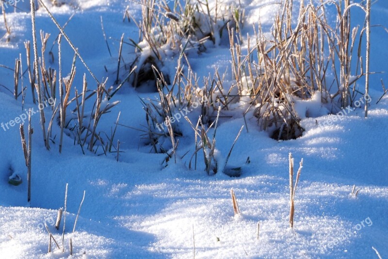 Snow Winter Go Cold Snow Landscape