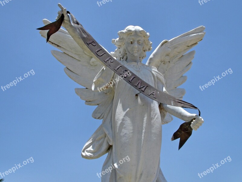 Cuba Angel Cemetery Pure Grave