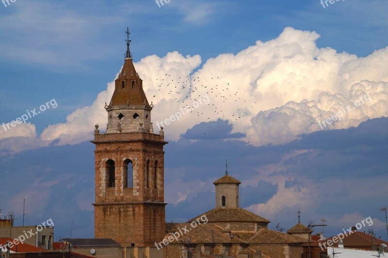 Birds Bell Tower Bird Cruz Veleta