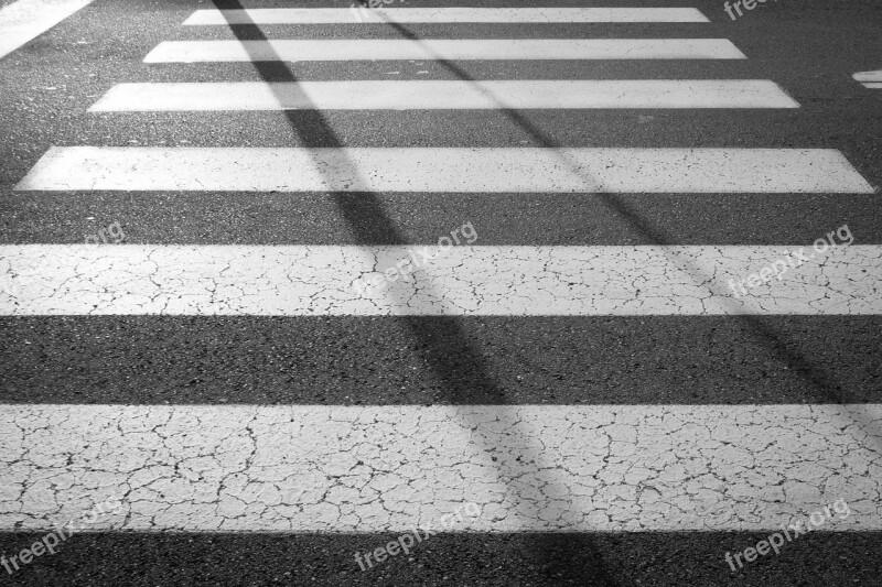 Pedestrian Zebra Crossing Sidewalk Road