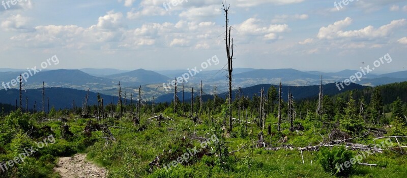 Mountains Hot Hiking Trail Nature Turbacz