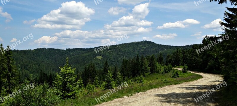 Mountains Trail Nature Poland Tourism