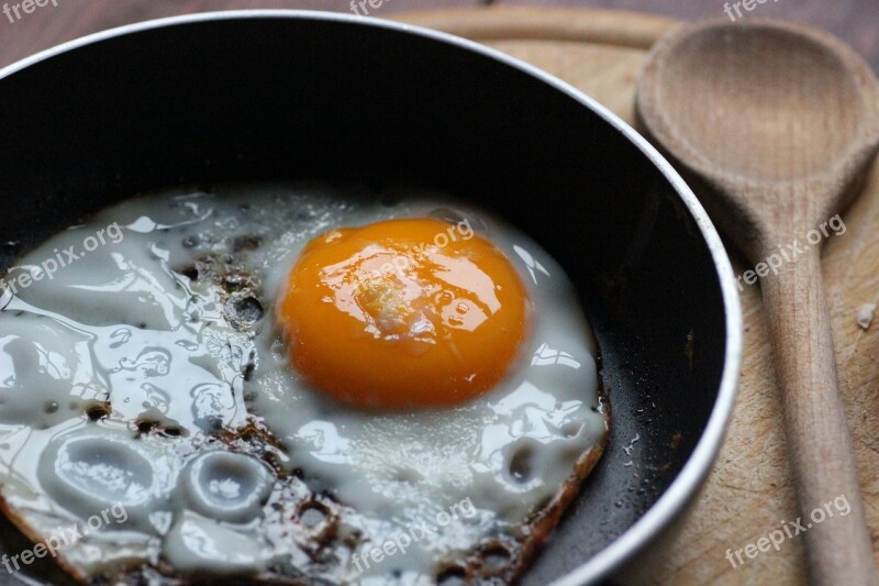 Fried Egg Pan Yolk Protein