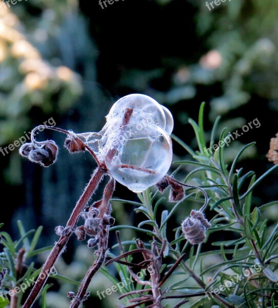 Soap Bubbles Frost Winter White Hoarfrost