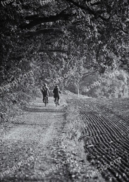 Bike Ride Bike Couple Forest Autumn