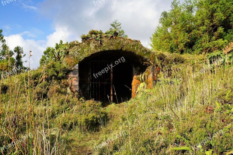 Portugal Azores Island Nature Green