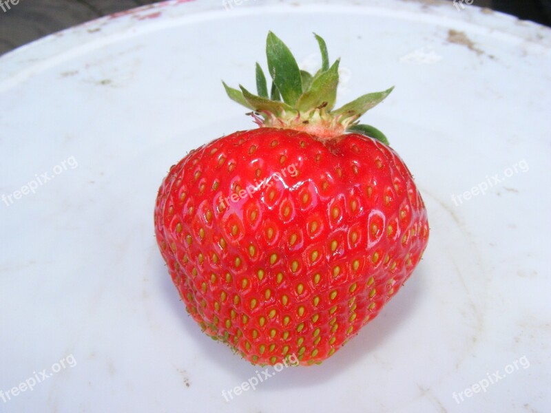 Strawberry Fruit A Single Piece Of Fruit Eating Food