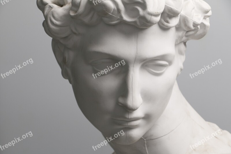 Plaster Classical Photography Bust Art