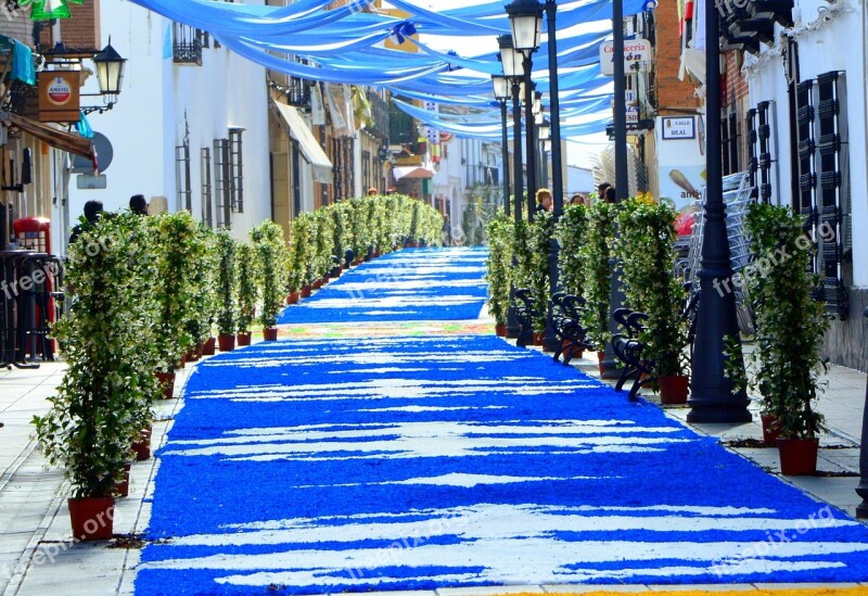 Corpus Torrenueva Procession Flowers Soil