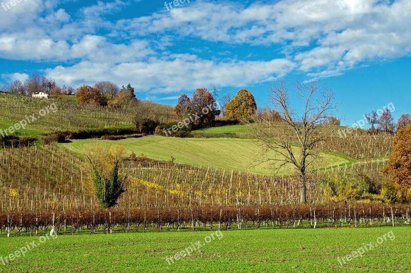 Langhirano Parma Emilia Romagna Italy Vineyards