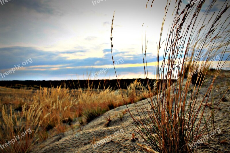 Nature Landscape Natura Mountain Landscape Forest