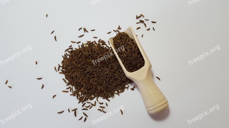 Caraway Herbs Spices Free Photos