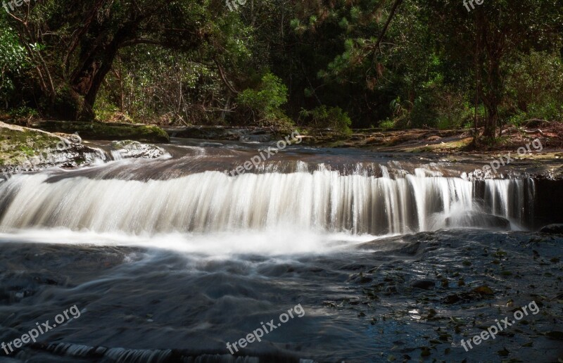 Waterfall Tree Water T Tour