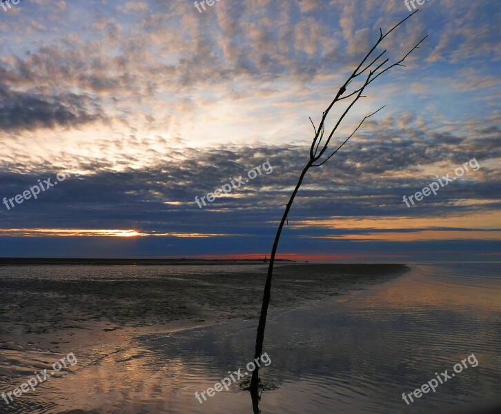 Water Sunset Sting Sea Nature