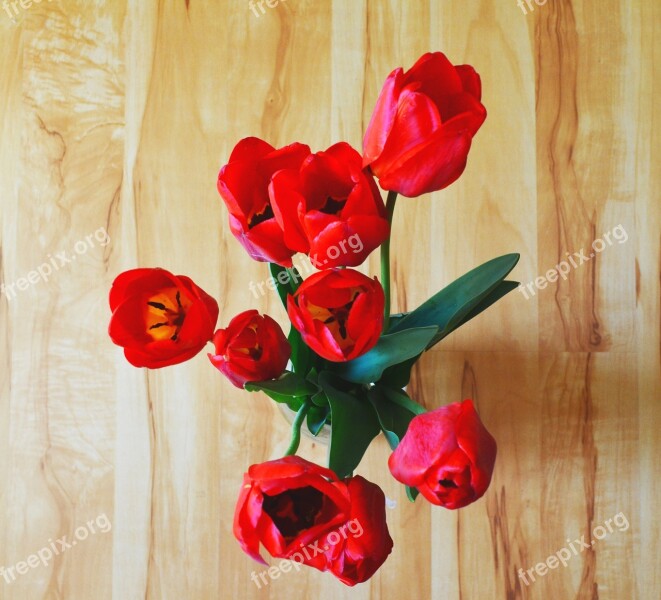 Tulips Flowers Bouquet Bright Beautiful Flowers